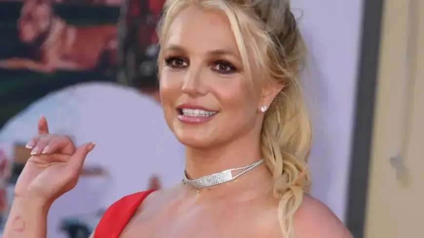 Britney Spears Expresses Gratitude for Survival Following Mistreatment