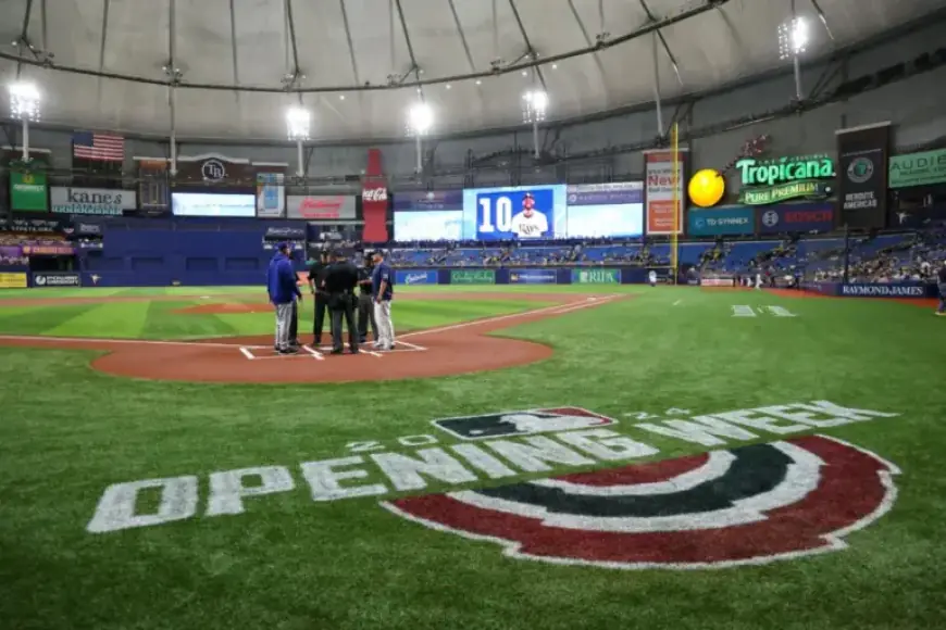 Rays Intensify Efforts for New Stadium Development
