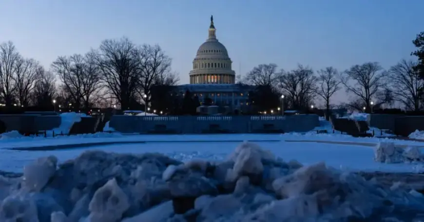 Senators Debate Immigration Enforcement, Risk D.H.S. Shutdown