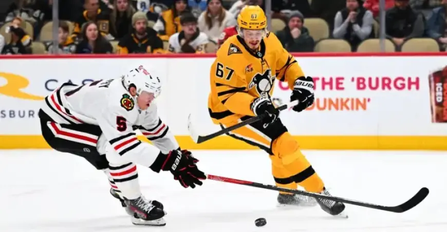 Rickard Rakell Injured; Penguins Recall Avery Hayes