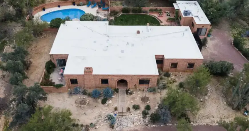 Sheriff Confirms Savannah Guthrie’s Mother Still Missing, No Suspects Identified