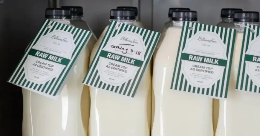 Ballerina Farm Halts Raw Milk Sales Following Health Test Failures