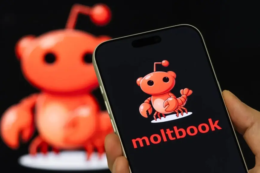 Moltbook’s AI agents boom meets a hard security lesson