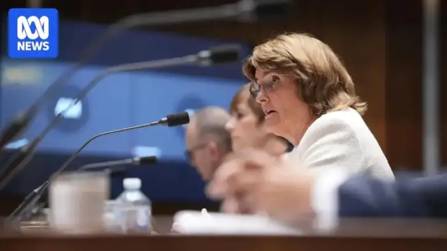 RBA Governor Avoids Blaming Albanese Government Amid Inflation Debate