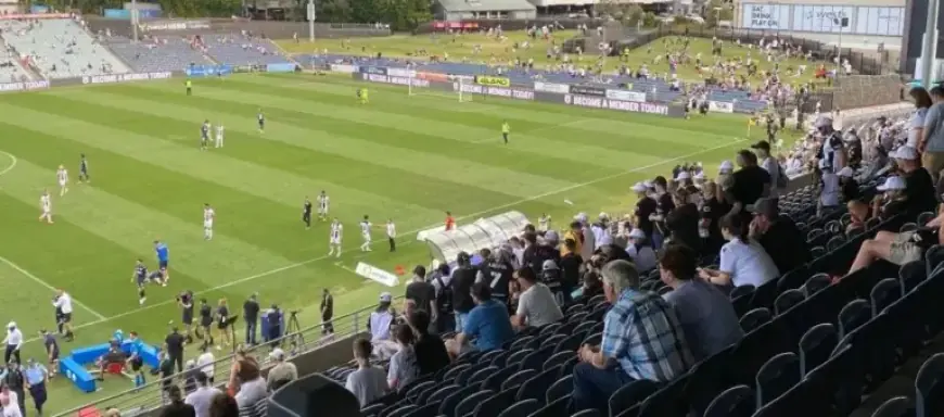 Council Approves Free Entry Game as Bulls Host Perth