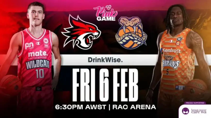 NBL26 Game Preview: Wildcats Face Taipans in Round 20 Showdown