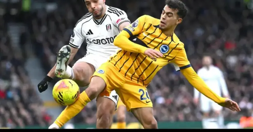 Albion Face Injury Setback for Palace Clash, Yet One Player Returns