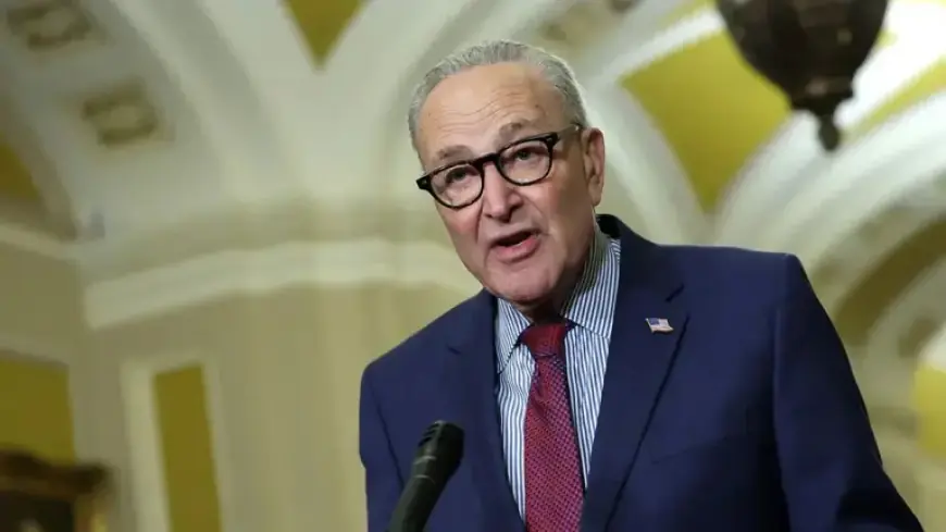 Schumer Condemns GOP’s ‘Jim Crow-Era’ Voter ID Laws in Shutdown Package