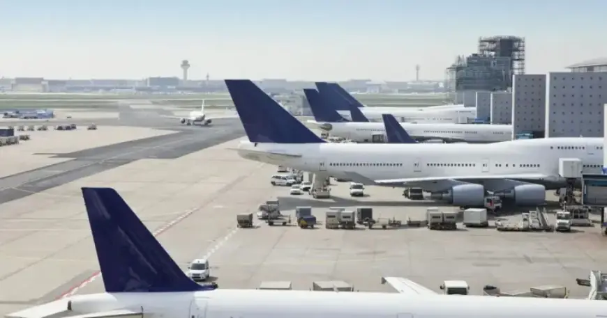 Airline Liquidates After Passenger Numbers Plummet; Flights Cancelled