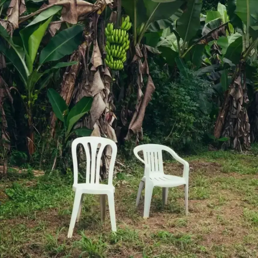 Unveiling Bad Bunny’s Album Cover and the Iconic Chair Behind It