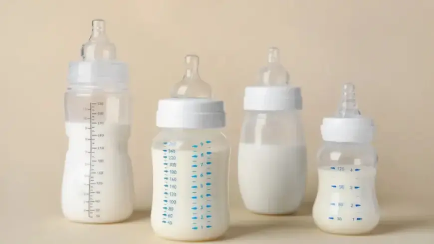 EFSA Quickly Assesses Cereulide Risks in Infant Formula