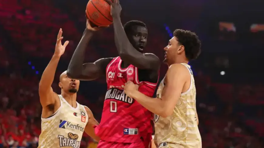 Doolittle, JLA Dominate Snakes in Perth Showdown