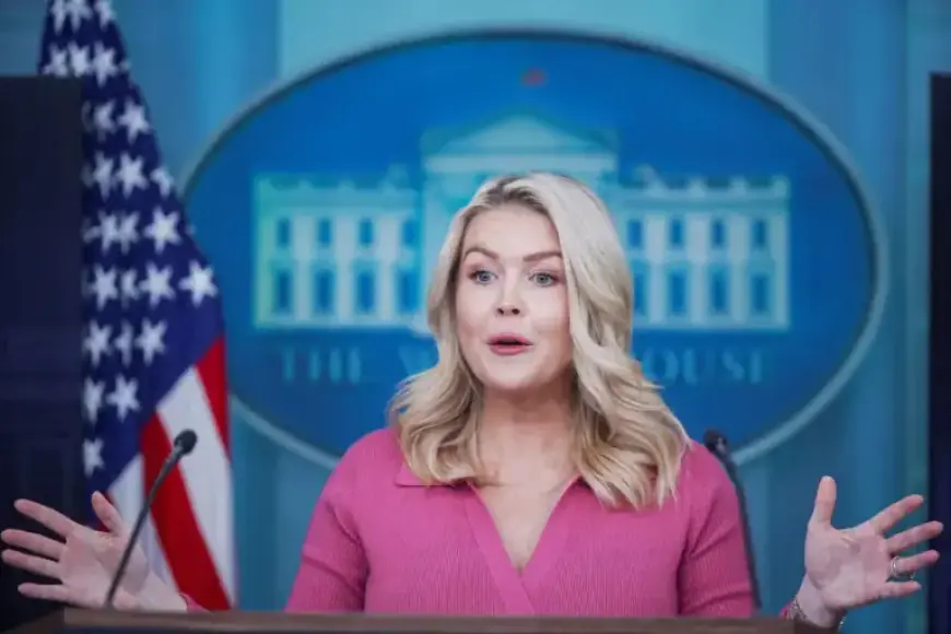 White House Uncertain About ICE Presence at Midterm Voting Sites