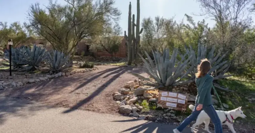 Nancy Guthrie Ransom Note Meticulously Detailed with Deadlines