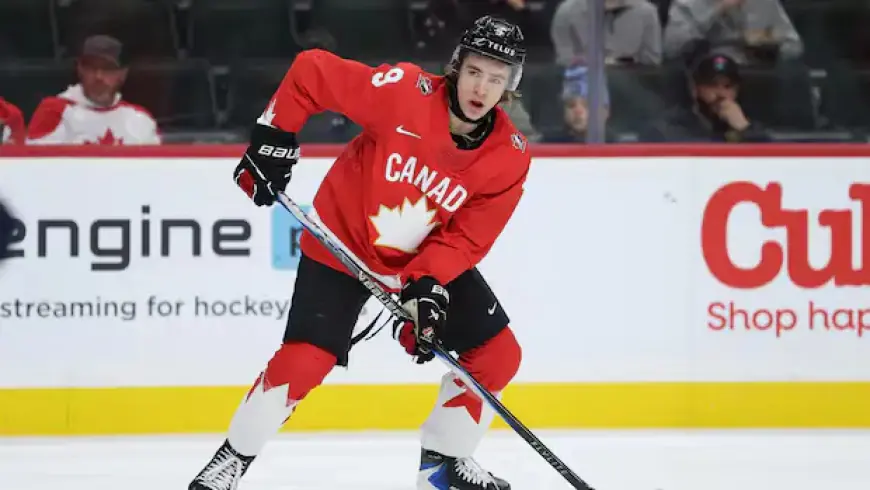 Aggravated Assault Charge Dropped Against Yukon Hockey Prospect McKenna