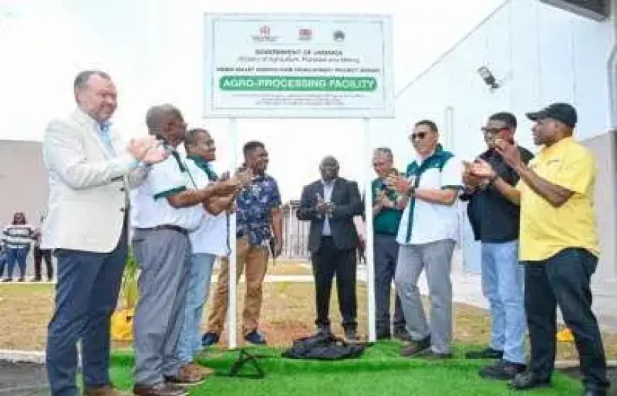 Jamaica Unveils Ambitious Multi-Million Dollar Initiative