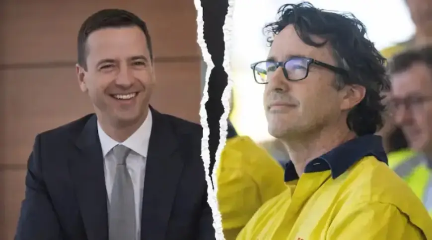 Exploring Rio’s Impact on Cinema