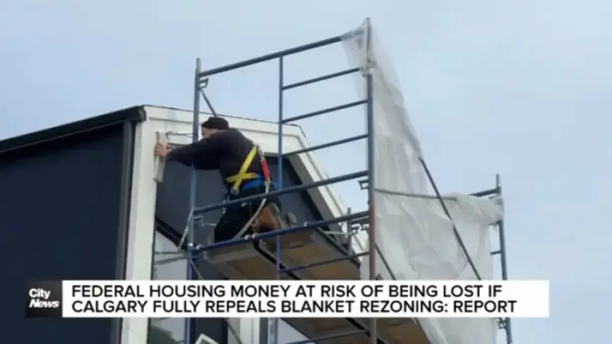 Calgary Risks Losing Federal Funds if It Repeals Blanket Rezoning: Report