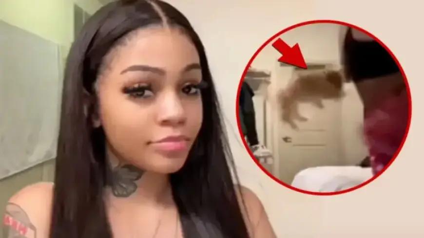 Aspen Kartier Refutes Animal Abuse Claims After Twitch Suspension