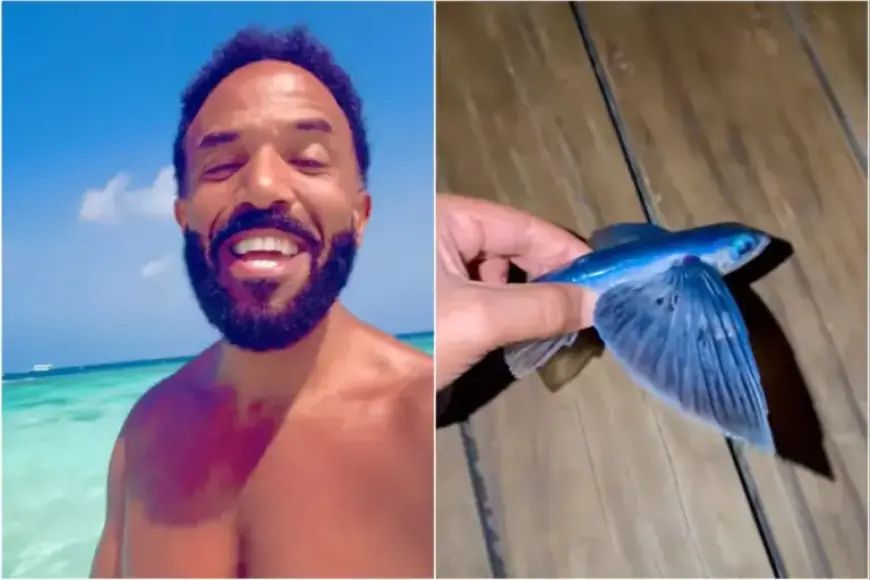 Craig David’s Flying Fish Rescue Effort Ends in Hilarious Failure