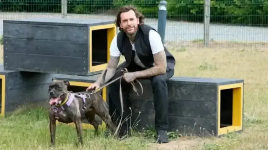 Pete Wicks Launches “For Dogs’ Sake” on U&W HD: Air Dates & Info