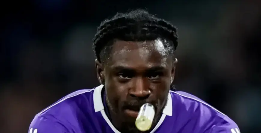 Fiorentina vs Torino Match Preview: Key Insights and Analysis