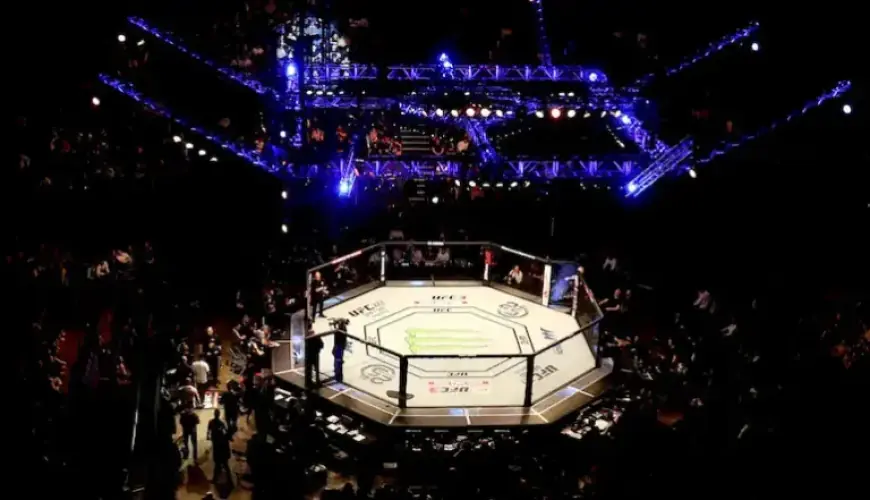 UFC Fight Night: Expert Predictions for Bautista vs. Oliveira