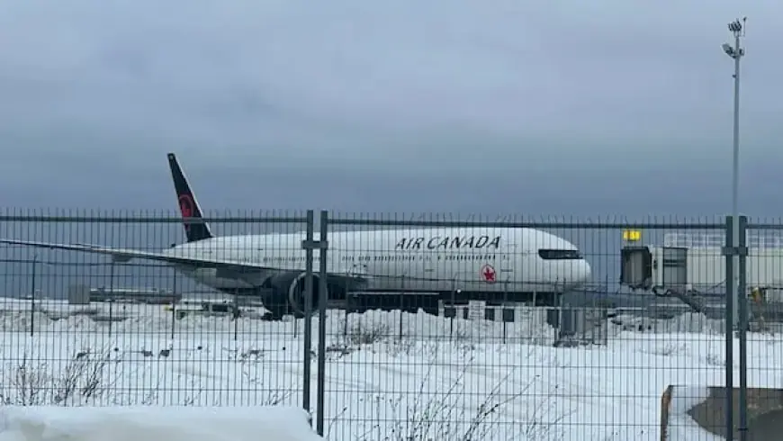 Unruly Passenger Forces Air Canada Flight to Divert to St. John’s