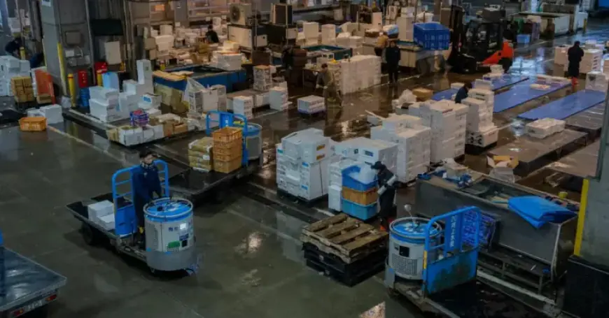 Understanding Japan’s Economy on Election Day: Key Insights