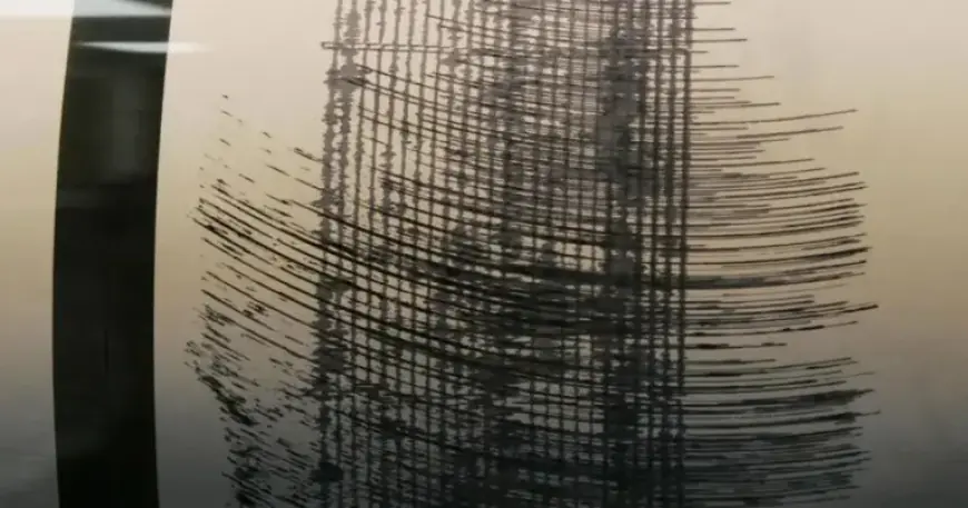 Charleston Experiences Tremors from 2.9-Magnitude Earthquake