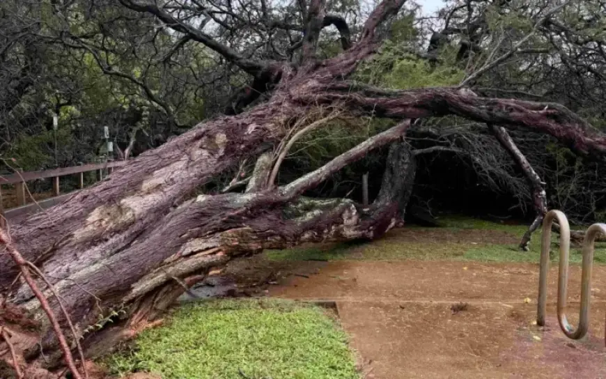 Mayor Bissen Issues Emergency Proclamation for Impending Severe Weather