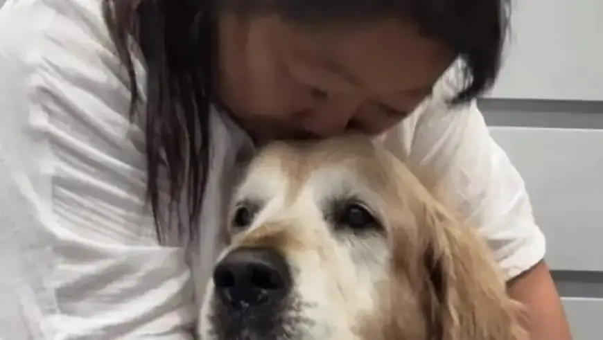 RecipeTin Eats’ Beloved Dog Dozer Passes Away