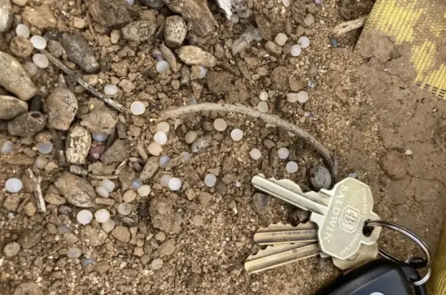 San Diego Railroad Agrees to Control ‘Nurdle’ Pollution