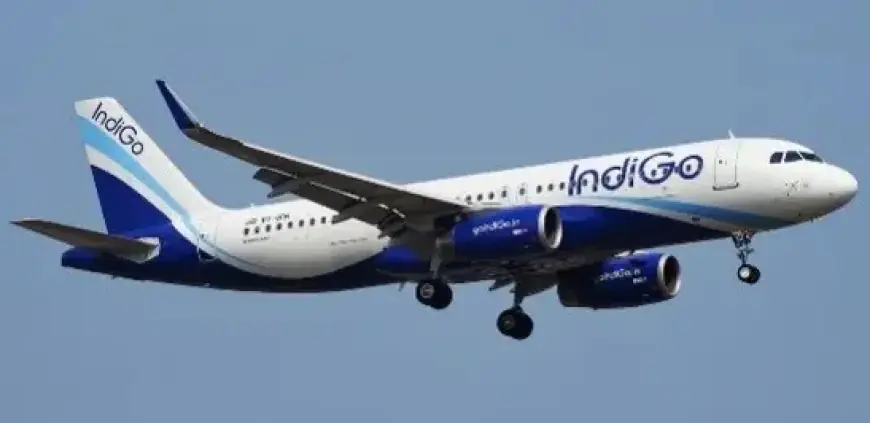 Indian Airline Cancels Almaty Flights