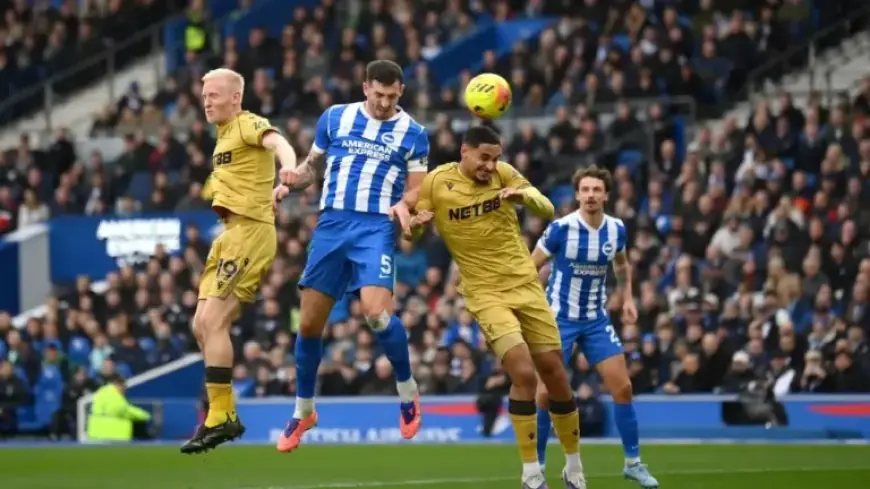 Brighton vs Crystal Palace: Live Premier League Updates