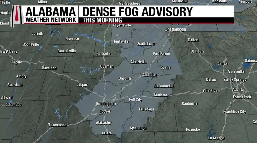 Dense Fog Advisory spreads across multiple regions on Feb. 8, complicating travel