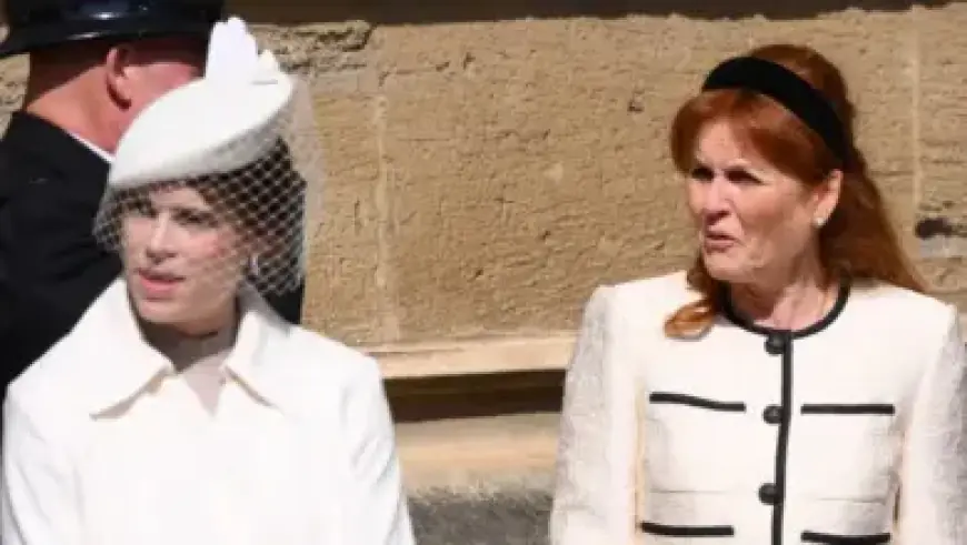 Check Real-Time 2026 Election Results Across 400 Districts