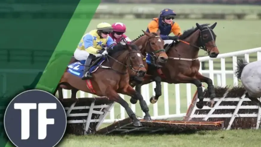 Top Horse Racing Tips: Back 15/2 Highlight at Plumpton, Says Timeform