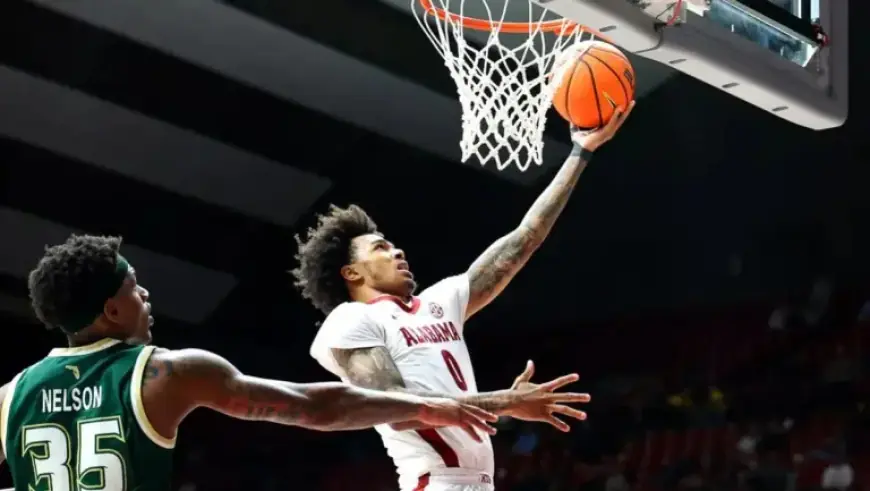 Watch South Florida Bulls vs. Tulsa: Stream, TV Info, Game Time Feb. 8