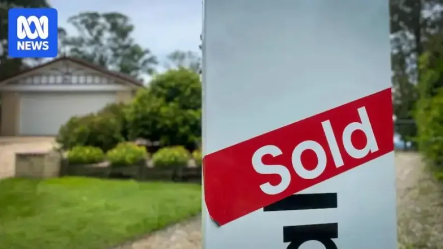 Investors Boost SA House Prices, Many Buy Without Viewing