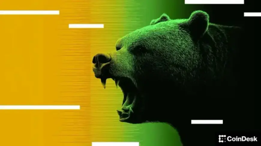 Bitcoin Price Analysis: BTC Nears Bottom, Bears Unwittingly Rejoice