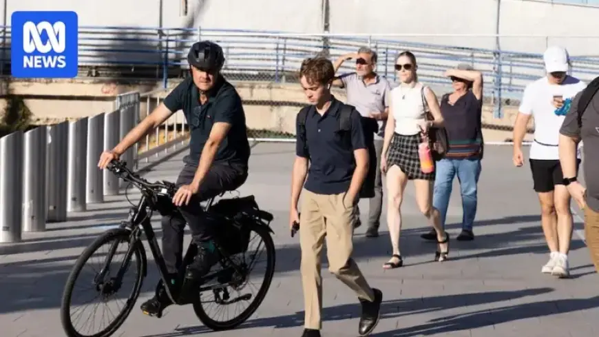 Cyclists Warn of Hazards on Sydney Fish Market Bike Route
