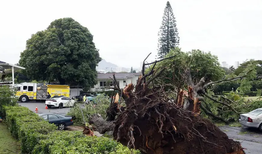 Hawaii Faces Power Outages as Gusty Winds and Showers Hit