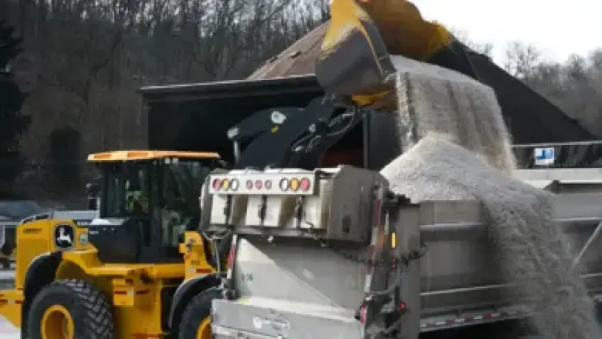 Paige DeSorbo Stars in Kinder ‘Yes Bueno’ Super Bowl Debut