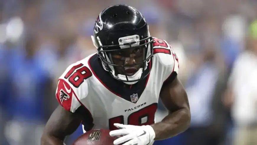 Former Falcons WR Jokingly Mocks NFL Over Super Bowl 51 Flashback Post