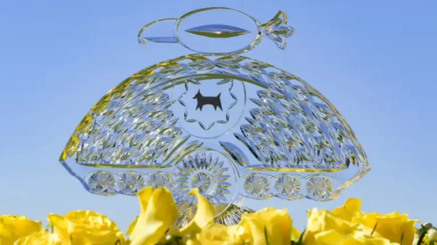 Gotterup’s 2026 WM Phoenix Open Victory: Prize from $9.6 Million Purse