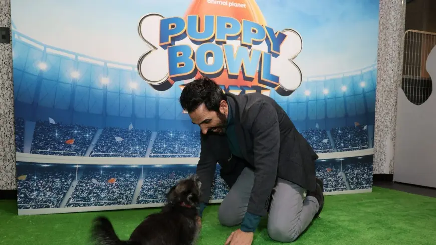 Puppy Bowl 2026: When it is, what time it starts, and how to watch and adopt