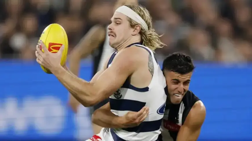 AFL Origin Player Numbers: Bailey and Nick Disappointed by Superstar Snubs