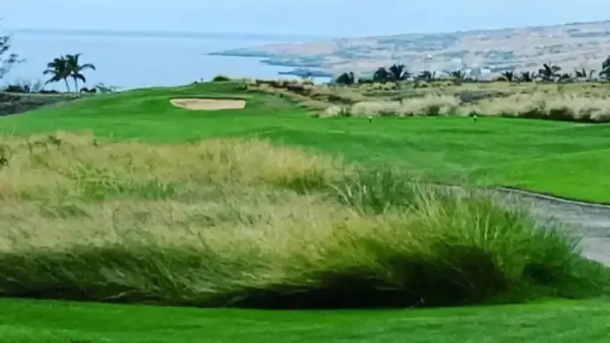 Hawaii County Forecast: February 3, 2026 Weather Predictions