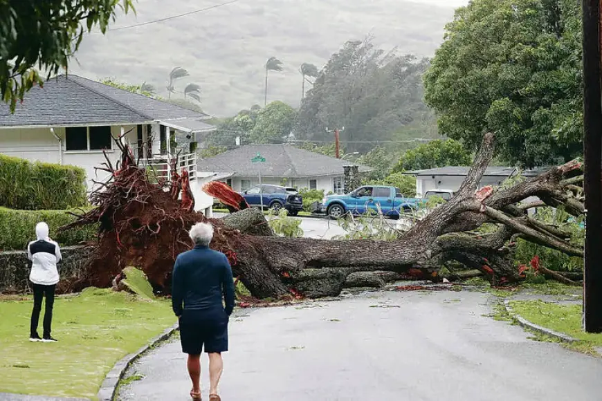 Severe Weather Forces Closure of State, DOE Schools, and UH Campuses